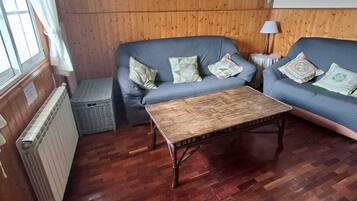 Una televisión, una chimenea, libros