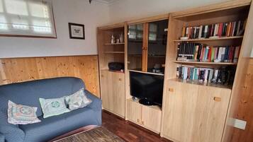 TV, fireplace, books