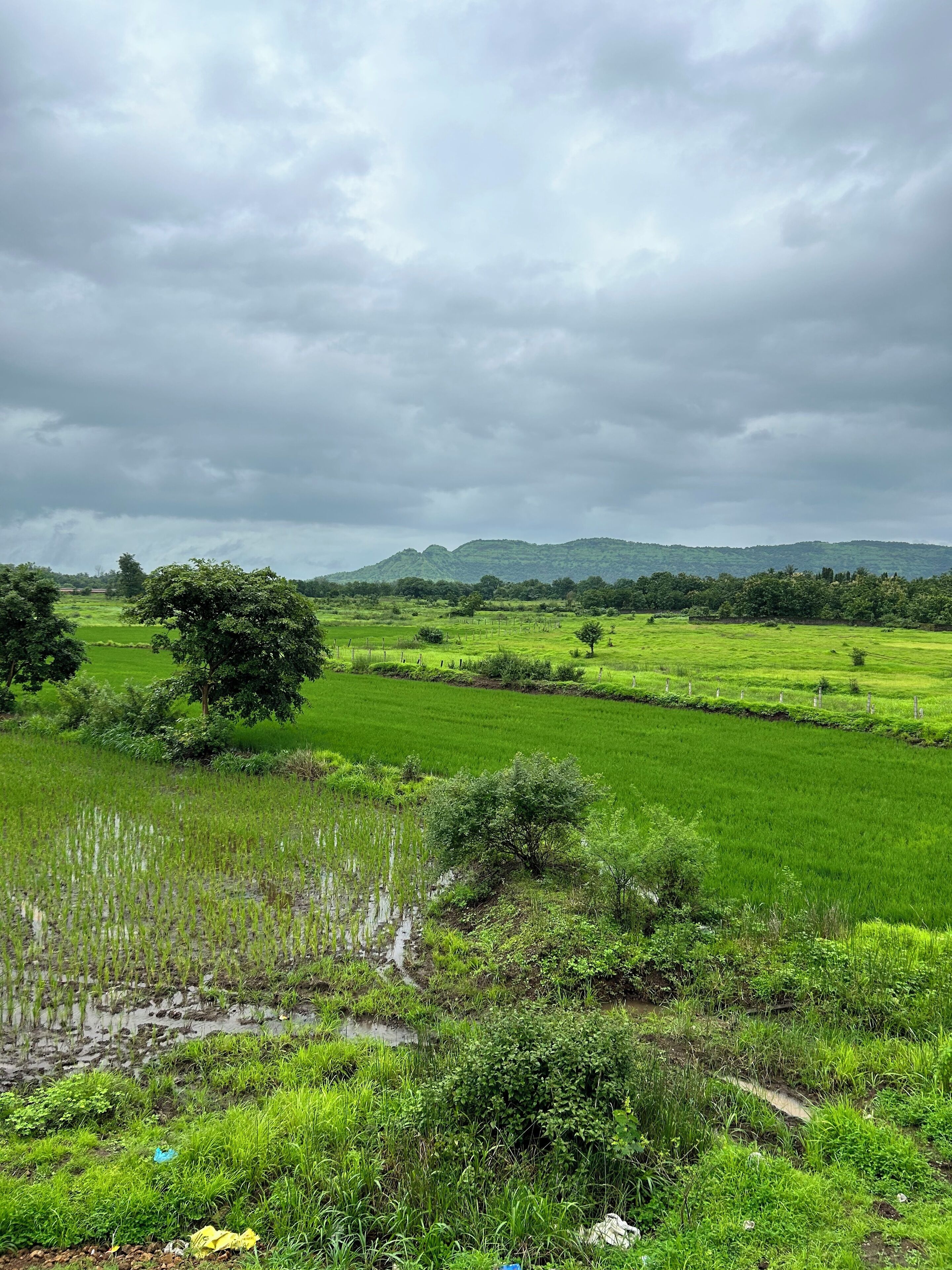 A lush green landscape with fields and trees under a cloudy sky.