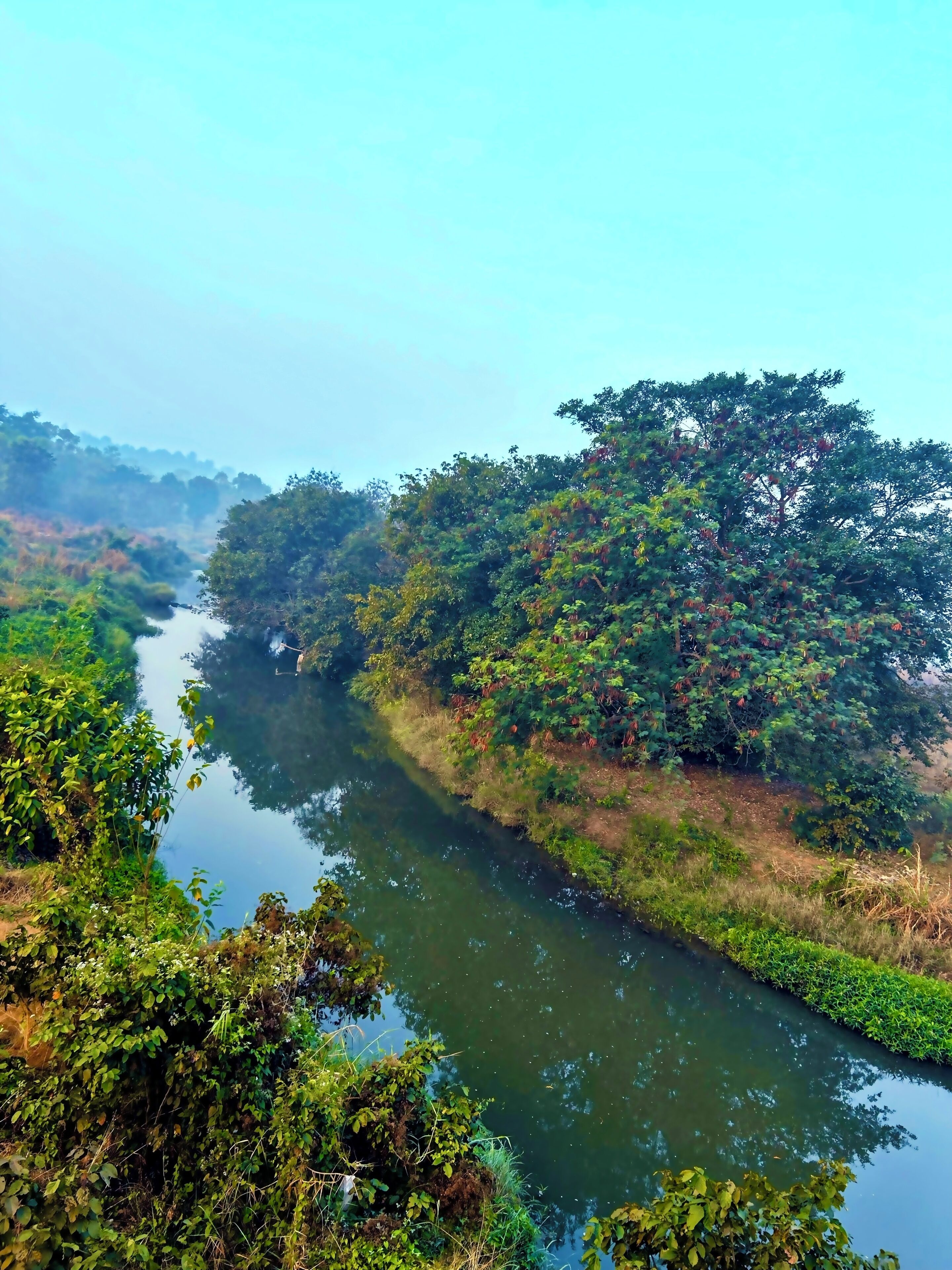 Une rivière qui traverse une zone densément végétalisée, bordée d’arbres et d’arbustes de chaque côté.