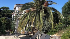 A stone patio with lounge chairs, a palm tree, and a building with a tiled roof. - Maxima Sunset KONTIKI 4 pers (Sainte-Maxime)