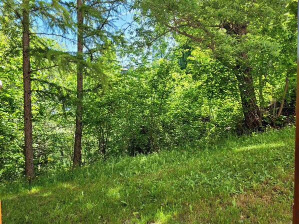 Overnatningsstedets område