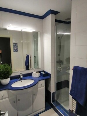 Regadera, secadora de cabello, bidet, toallas 