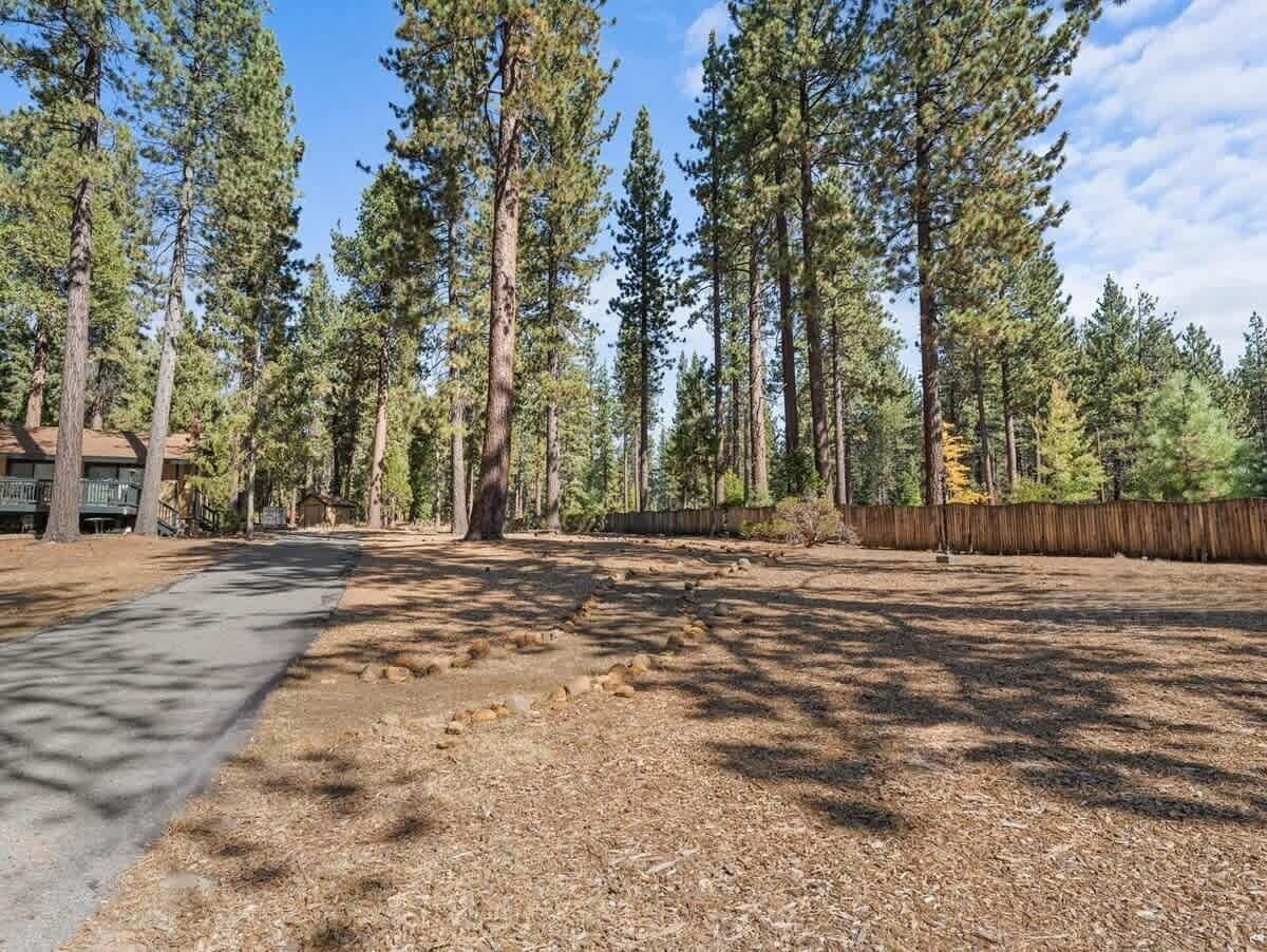 A forested area with a paved path, tall trees, and a wooden fence.