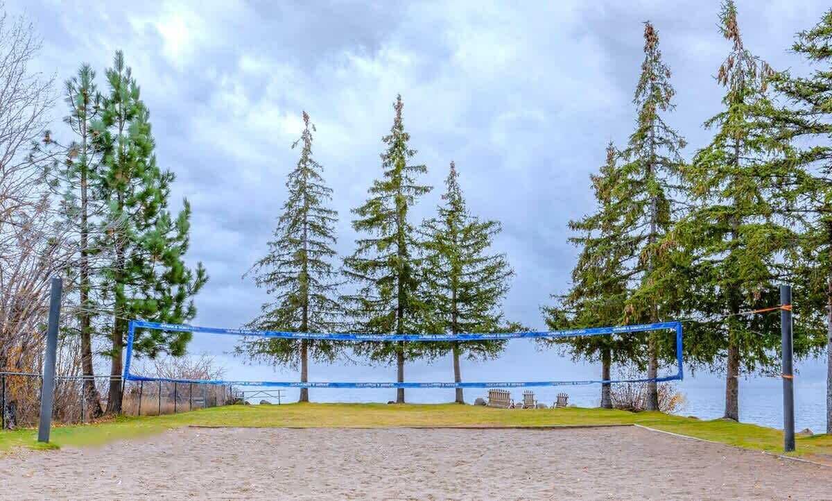 Ein Volleyballnetz in einem Park mit Bäumen und einem Gewässer im Hintergrund.