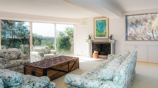 Chimenea y reproductor de DVD 