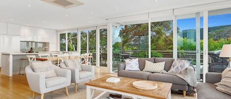 TV, fireplace, ping pong