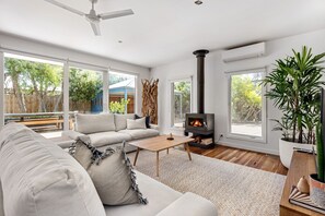 Smart TV, fireplace, books