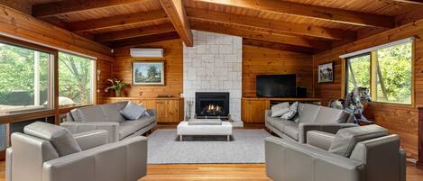 TV, fireplace, stereo