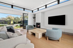 TV, fireplace, books