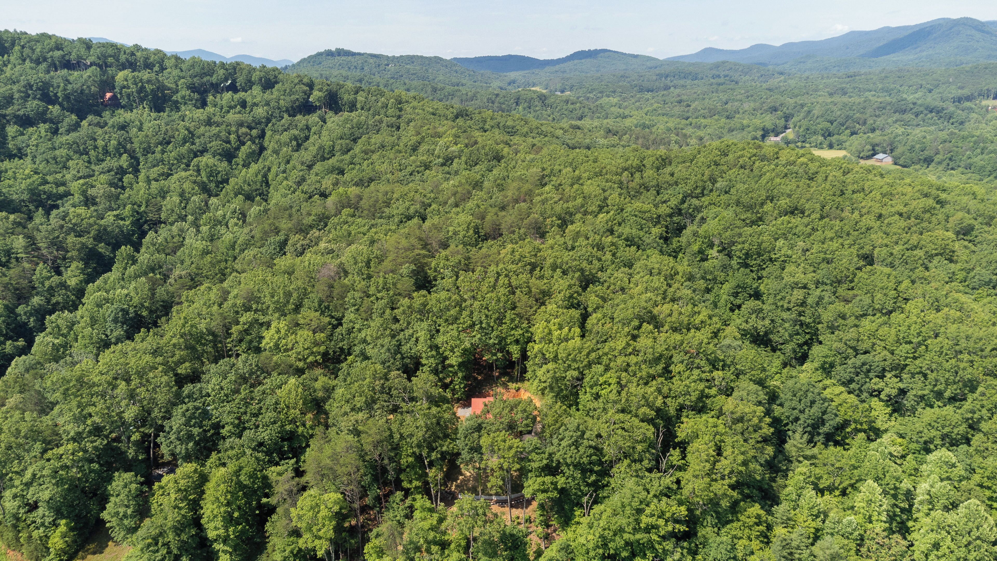 A dense forest with a small red building surrounded by trees.