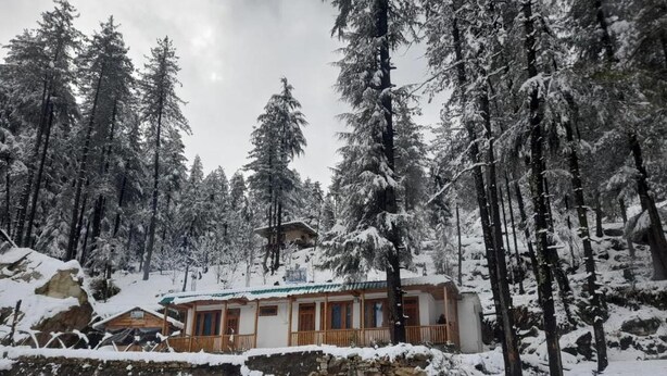 A cabin surrounded by snow-covered trees, with a stone wall in the foreground. - Vansh Green View Homestay (Sainj)