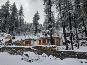 A cabin surrounded by snow-covered trees, with a stone wall in the foreground. - Vansh Green View Homestay (Sainj)