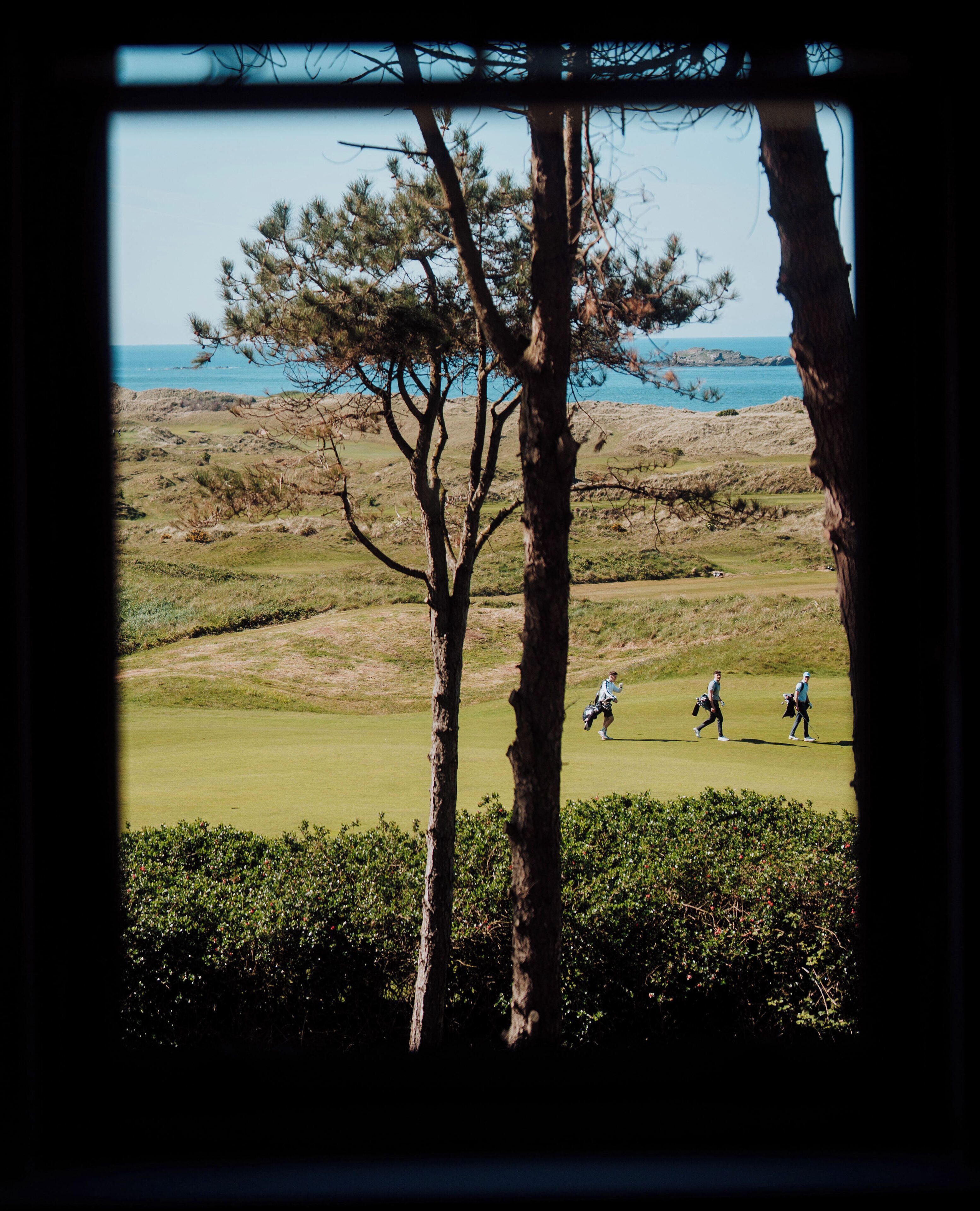 A view of a golf course with three players in the distance, surrounded by trees and a clear sky.