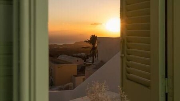 A view from a window overlooking a sunset, with a palm tree and distant buildings.