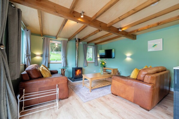 Smart TV, fireplace