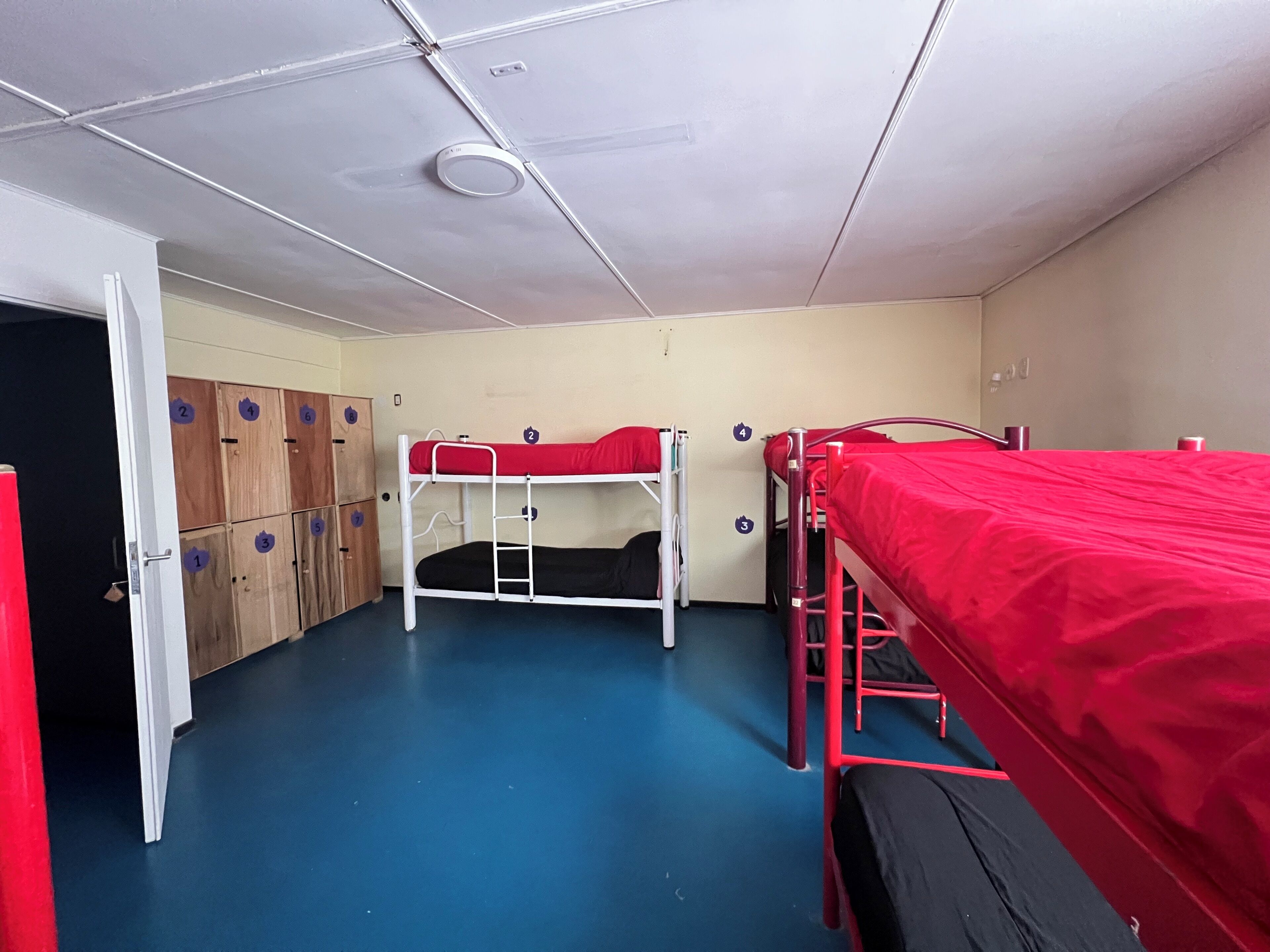 Allergitestet sengetøy og wi-fi (inkludert)