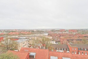 A cityscape with red-roofed buildings, a river, and a distant view of a city skyline.