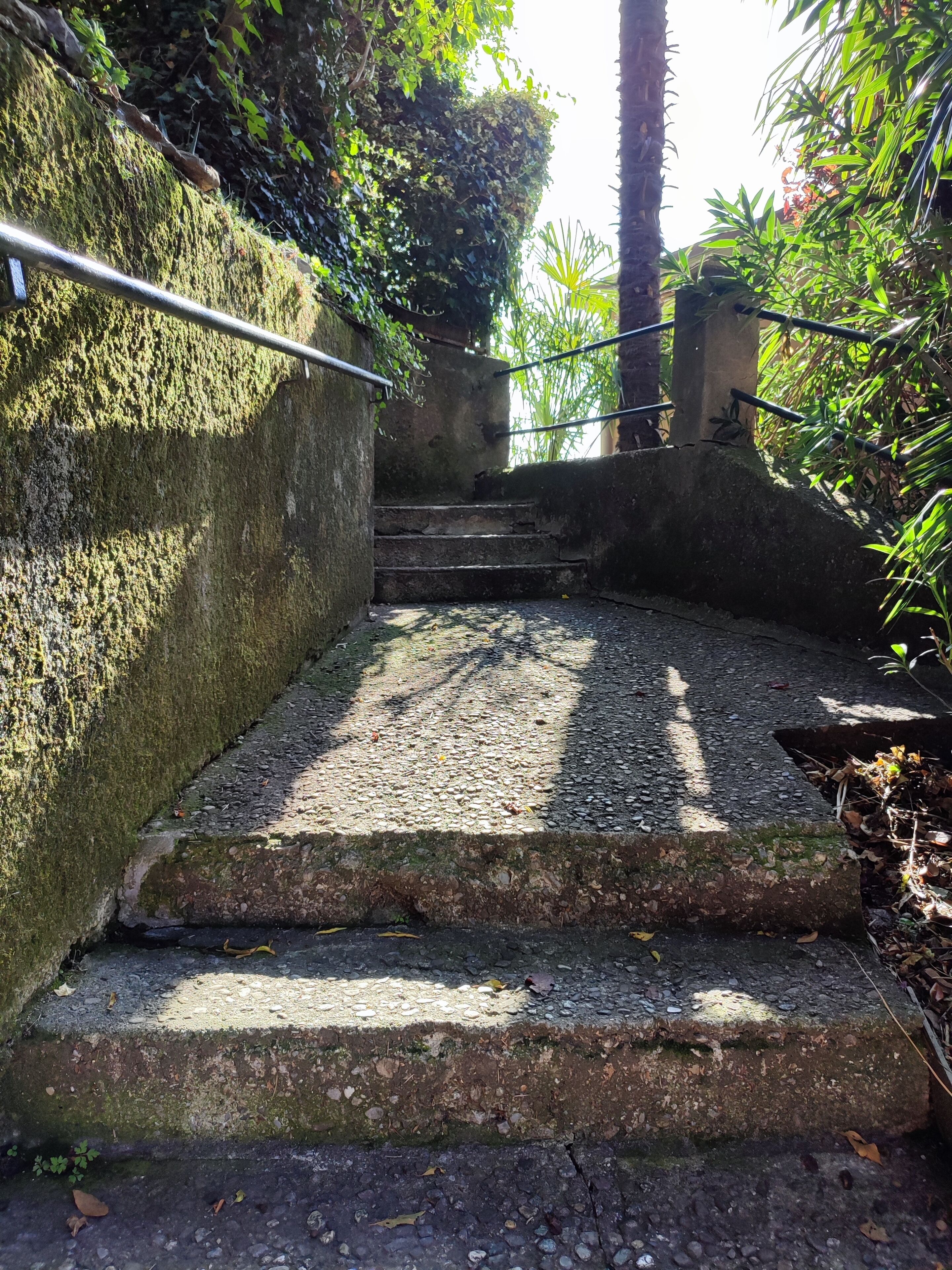 A set of stone steps with a metal handrail, surrounded by greenery and a moss-covered wall.