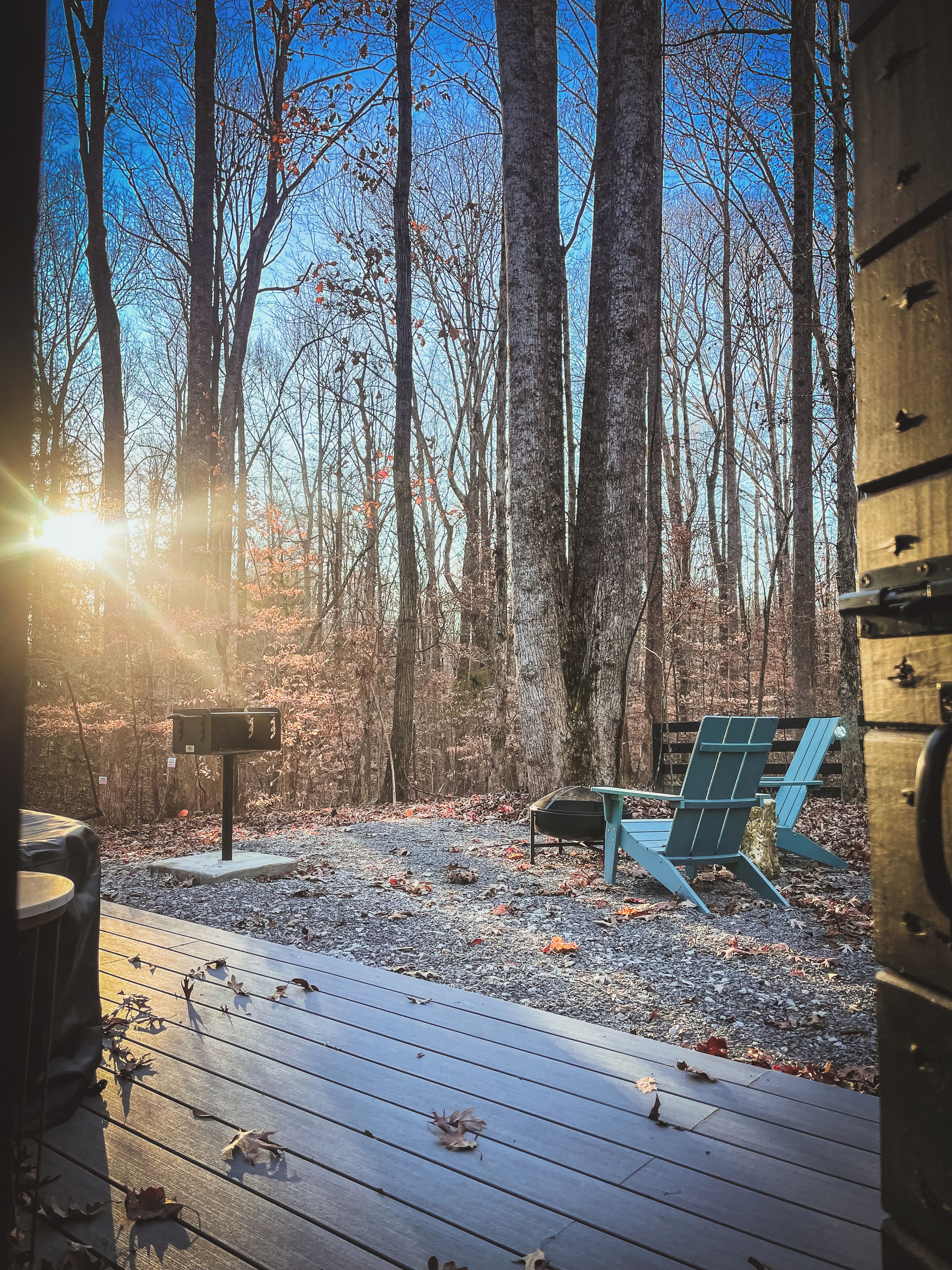 A wooden deck with a bench and mailbox, surrounded by a forest with tall trees and a clear sky.