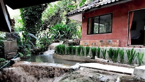 Un petit estany amb una cascada, envoltat de vegetació exuberant i un edifici vermell amb una finestra.