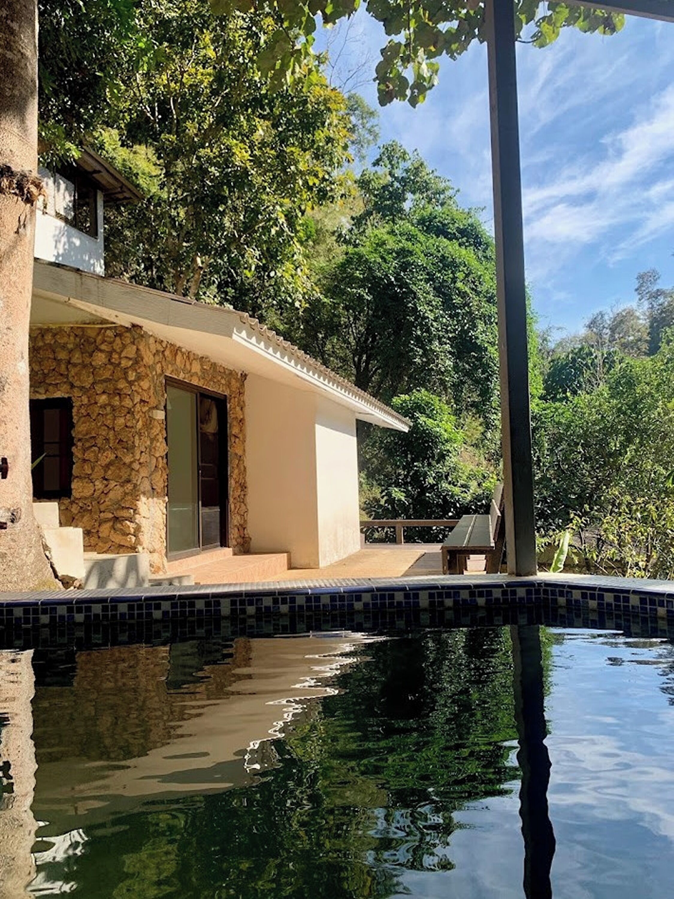 A modern house with a stone exterior, a swimming pool, and lush greenery surrounding it.