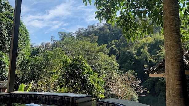 Una piscina amb vora de rajola, envoltada de vegetació i arbres frondosos.