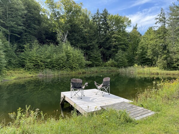 Property grounds - Pindar's Pond - Private Pond ~ fenced in yard! (Oneonta)