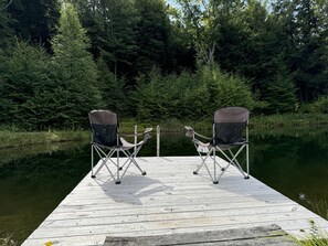 Property grounds - Pindar's Pond - Private Pond ~ fenced in yard! (Oneonta)