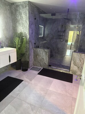 Shower, hair dryer, bidet, towels