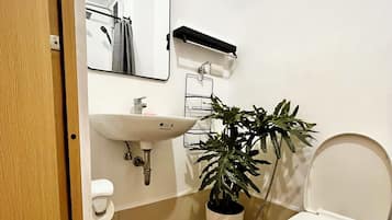 Shower, hair dryer, bidet, towels