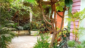 Een weelderige tuin met verschillende planten en een bakstenen muur op de achtergrond.
