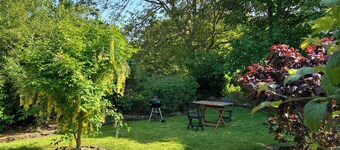 The cat on the broom