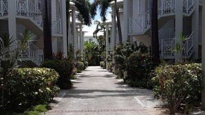 Un camino bordeado por palmeras que lleva a un edificio con balcones.