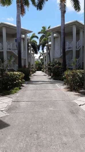 A pathway flanked by palm trees leading to a building with balconies. - 2 Bed Penthouse on Seven Mile Beach. Private Beach Cove, & 3 Pools! (#7) (Grand Cayman)