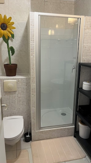Shower, towels, toilet paper