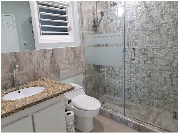 Shower, hair dryer, towels, soap