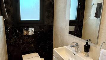 Deluxe Apartment | Bathroom | Shower, hair dryer, towels, soap