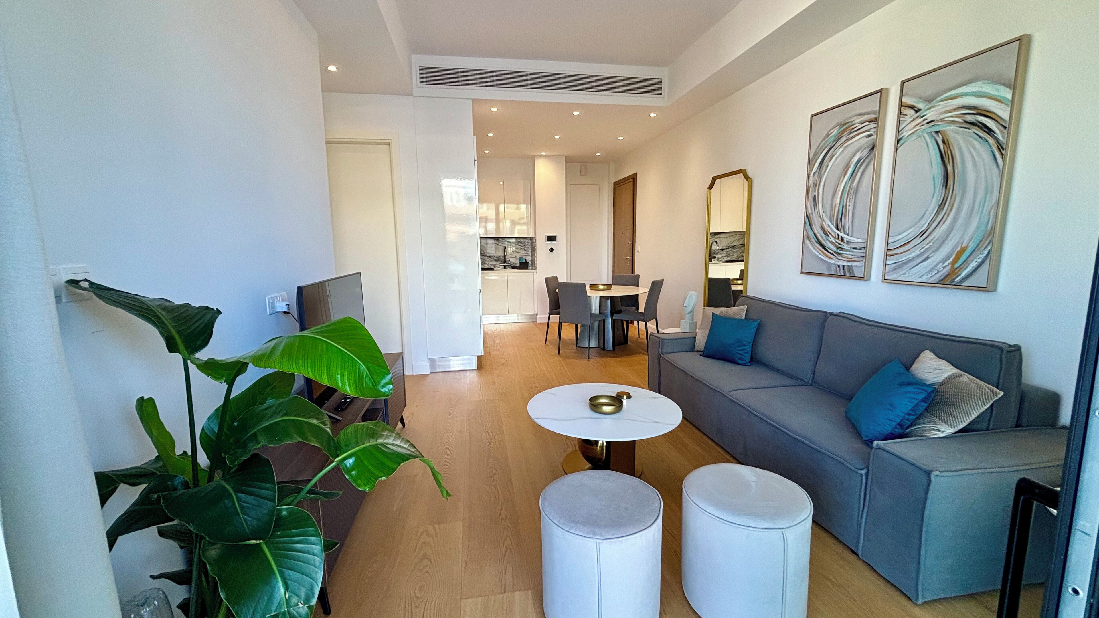 Deluxe Apartment | Living area