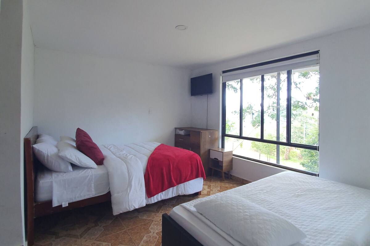 A bedroom with two beds, a TV, and a window with a view of trees.