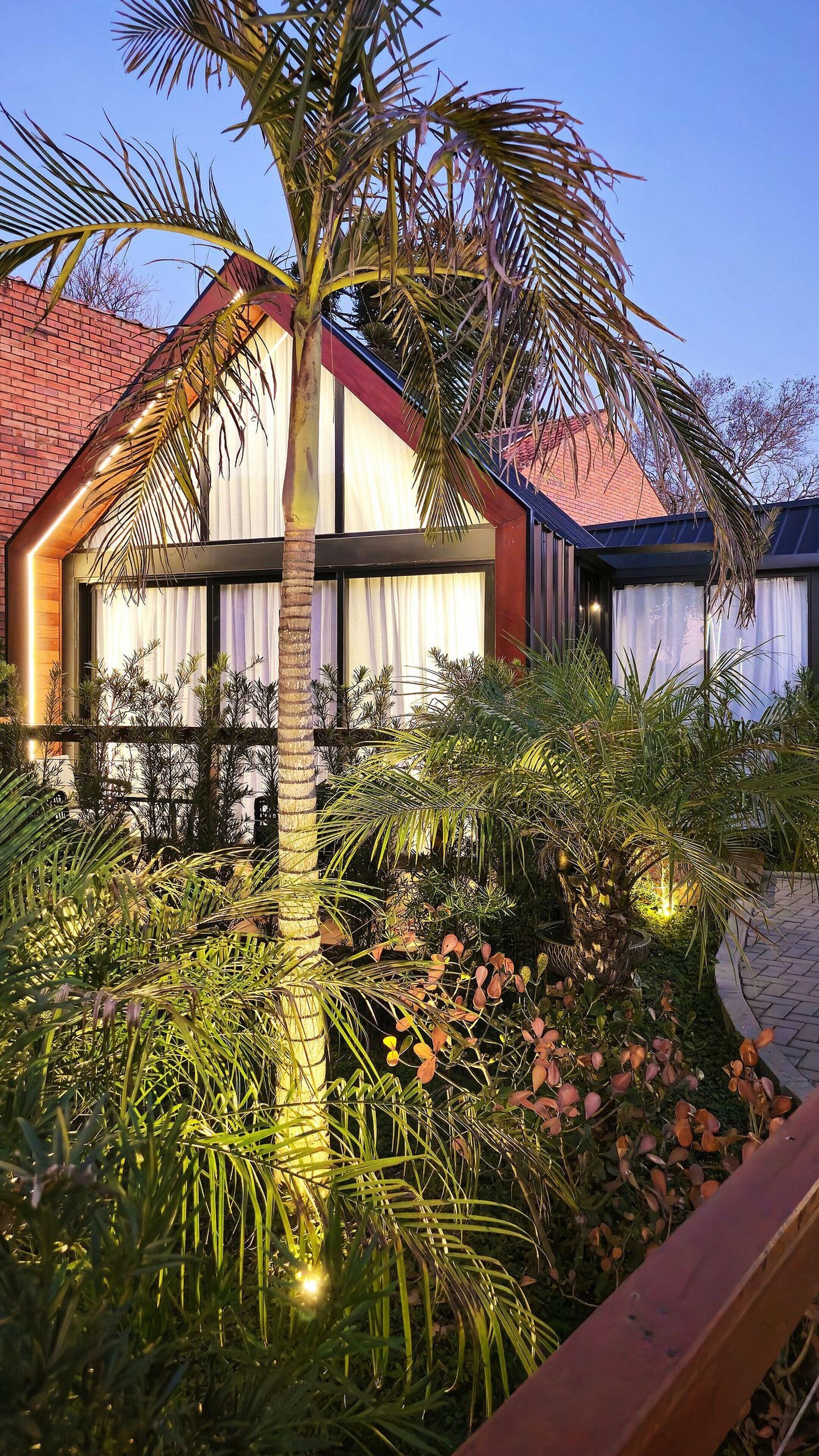A modern building with large windows and a well-maintained garden with various plants and a palm tree.
