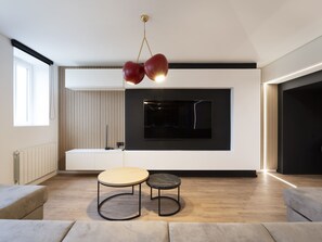 TV, fireplace, books