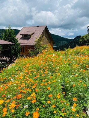 Fassade der Unterkunft