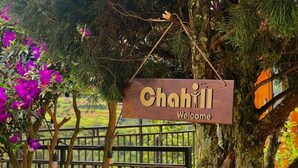 A wooden sign with "Chahill Welcome" hanging from a tree. - Chahill Dalat (Xuan Truong - Da Lat)