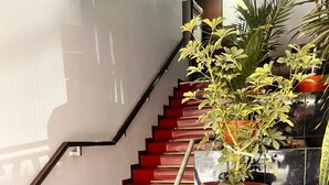 A staircase with red carpeted steps and a potted plant on the landing. - HOTEL HAYLLI INN (Arequipa)