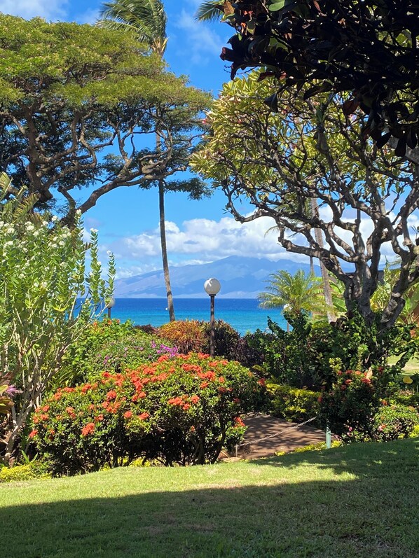 Property grounds - Give Your Soul some Aloha!!  Beautiful Kuleana Resort, Unit 505, West Maui!!!! (Lahaina)