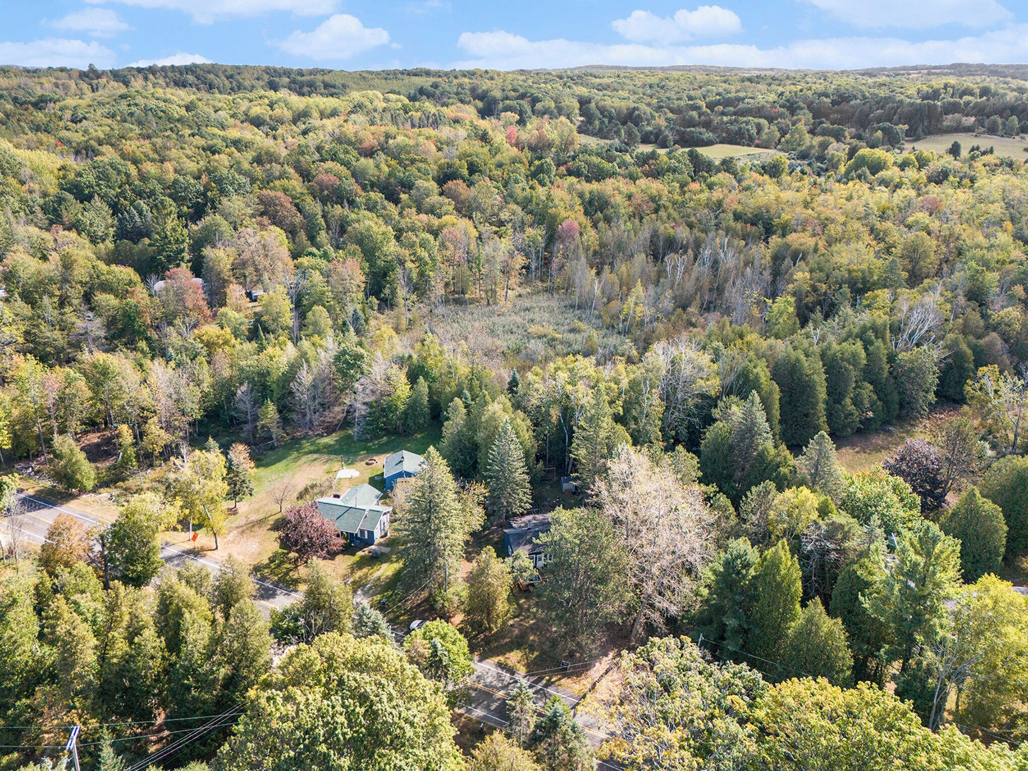 A residential area with houses surrounded by dense forest, a clear road, and a hilly backdrop.