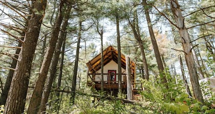 Kung tält - Hillside Site - Glamping Tent for Two!