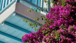A white building with blue railings and pink flowers. - Cosy Flat on the Shore - 1bd/2p - Mykonos (Mykonos)