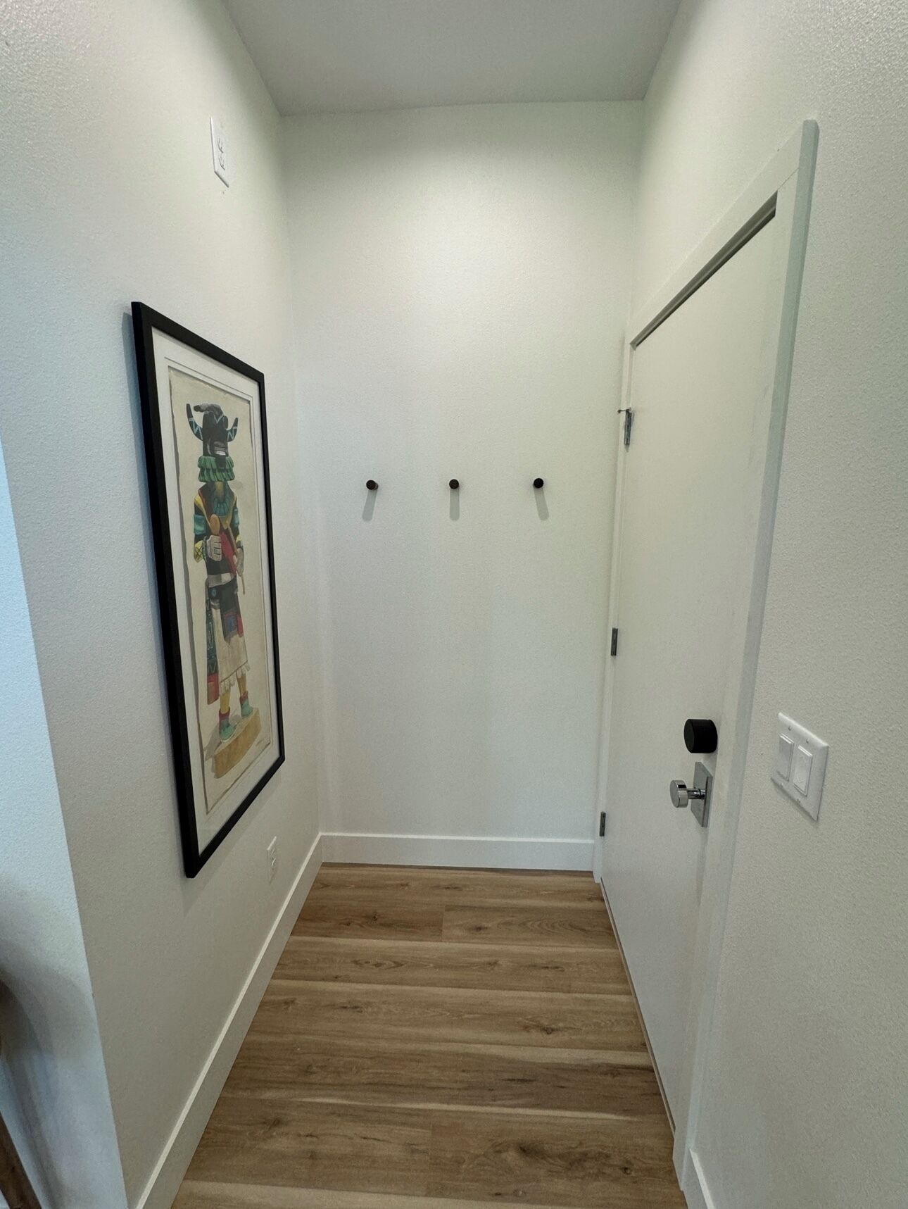 A hallway with a wooden floor, a white door, and a framed artwork on the wall.